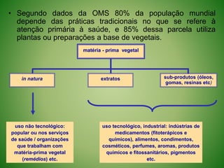 • Segundo dados da OMS 80% da população mundial
depende das práticas tradicionais no que se refere à
atenção primária à saúde, e 85% dessa parcela utiliza
plantas ou preparações a base de vegetais.
matéria - prima vegetal
in natura extratos sub-produtos (óleos,
gomas, resinas etc)
uso não tecnológico:
popular ou nos serviços
de saúde / organizações
que trabalham com
matéria-prima vegetal
(remédios) etc.
uso tecnológico, industrial: indústrias de
medicamentos (fitoterápicos e
químicos), alimentos, condimentos,
cosméticos, perfumes, aromas, produtos
químicos e fitossanitários, pigmentos
etc.
 
