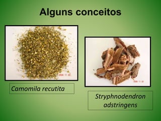 Camomila recutita
Stryphnodendron
adstringens
Alguns conceitos
 