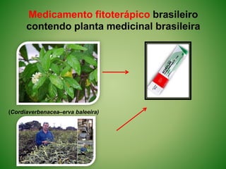 Medicamento fitoterápico brasileiro
contendo planta medicinal brasileira
(Cordiaverbenacea–erva baleeira)
 