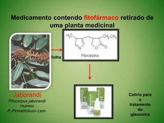 Medicamento contendo fitofármaco retirado de
uma planta medicinal
Jaborandi
Pilocarpus jaborandi
Hulmes
P. Pinnatifoliusn Lem.
Colírio para
o
tratamento
do
glaucoma
folha
 