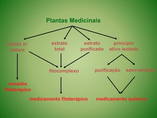 Plantas Medicinais
extrato
total
extrato
purificado
princípio
ativo isolado
purificação semi-síntese
fitocomplexo
medicamento químico
medicamento fitoterápico
remédio
fitoterápico
planta in
natura
 