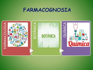 FARMACOGNOSIA
FARMACOLOGIA
BOTÂNICA
QUÍMICA
 