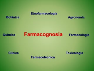 Etnofarmacologia
Química Farmacologia
Toxicologia
Farmacotécnica
Clínica
Botânica Agronomia
Farmacognosia
 