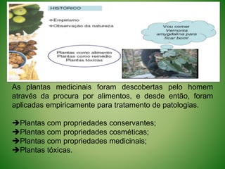 As plantas medicinais foram descobertas pelo homem
através da procura por alimentos, e desde então, foram
aplicadas empiricamente para tratamento de patologias.
Plantas com propriedades conservantes;
Plantas com propriedades cosméticas;
Plantas com propriedades medicinais;
Plantas tóxicas.
 