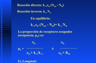 Reacción directa: k +1 x D  (N tot  - N D ) Reacción inversa: k -1  N A En equilibrio: k +1 x D  (N tot  - N D )= k -1  N D La proporción de receptores ocupados (ocupancia, p D ) es: x D  x D p D  =  ó  x D  + k -1 /k +1  x D  + K D   Ec.Langmuir 