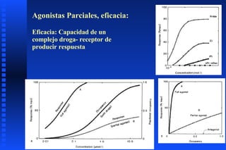 Agonistas Parciales, eficacia: Eficacia: Capacidad de un complejo droga- receptor de producir respuesta 