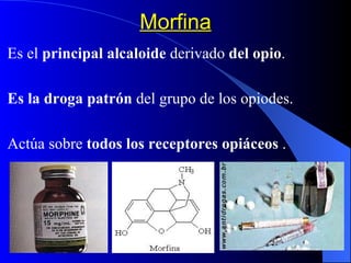 Morfina Es el  principal alcaloide  derivado  del opio . Es la droga patrón  del grupo de los opiodes. Actúa sobre  todos los receptores opiáceos  . 
