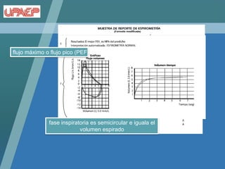 flujo máximo o flujo pico (PEF),




              fase inspiratoria es semicircular e iguala el
                           volumen espirado
 