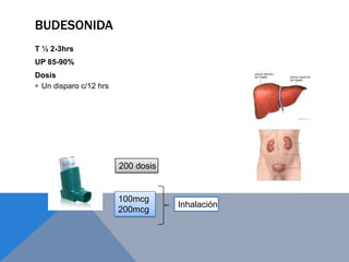 BUDESONIDA
T ½ 2-3hrs
UP 85-90%
Dosis
 Un disparo c/12 hrs




                        200 dosis


                        100mcg
                                    Inhalación
                        200mcg
 