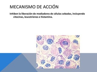 MECANISMO DE ACCIÓN
Inhiben la liberación de mediadores de células cebadas, incluyendo
   citocinas, leucotrienos e histamina.
 