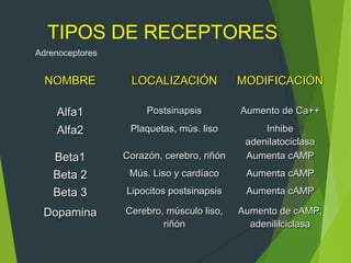 TIPOS DE RECEPTORES
NOMBRENOMBRE LOCALIZACIÓNLOCALIZACIÓN MODIFICACIÓNMODIFICACIÓN
Alfa1Alfa1 PostsinapsisPostsinapsis Aumento de Ca++Aumento de Ca++
Alfa2Alfa2 Plaquetas, mús. lisoPlaquetas, mús. liso InhibeInhibe
adenilatociclasaadenilatociclasa
Beta1Beta1 Corazón, cerebro, riñónCorazón, cerebro, riñón Aumenta cAMPAumenta cAMP
Beta 2Beta 2 Mús. Liso y cardíacoMús. Liso y cardíaco Aumenta cAMPAumenta cAMP
Beta 3Beta 3 Lipocitos postsinapsisLipocitos postsinapsis Aumenta cAMPAumenta cAMP
DopaminaDopamina Cerebro, músculo liso,Cerebro, músculo liso,
riñónriñón
Aumento de cAMP,Aumento de cAMP,
adenililciclasaadenililciclasa
Adrenoceptores
 