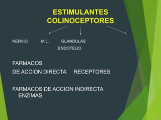 ESTIMULANTES
COLINOCEPTORES
NERVIO M.L. GLANDULAS
ENDOTELIO
FARMACOS
DE ACCION DIRECTA RECEPTORES
FARMACOS DE ACCION INDIRECTA
ENZIMAS
 