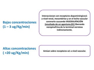 Bajas concentraciones
(1 – 3 ug/Kg/min)
Altas concentraciones
( >20 ug/Kg/min)
Interaccionan con receptores dopaminérgicos1
a nivel renal, mesentérico y en el lecho vascular
coronario causando VASODILATACIÓN
(resultado de un agonismo β1) liberando
norepinefrina de la terminal nerviosa
indirectamente.
Actúan sobre receptores α1 a nivel vascular.
 