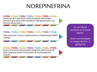 NOREPINEFRINA
Precursor de la epinefrina, potente agente adrenérgico
primario que actúa sobre receptores alfa básicamente, con
mínimo efecto beta 1.
Vida media de 1-2 min y rápidamente es metabolizado (COMT
y MAO).
Causa incremento de la presión sanguínea, disminución de
flujo sanguíneo renal e incremento de la postcarga del
corazón.
Su uso clínico
conocido es el shock
séptico.
Dosis recomendadas
en rangos de 0,4 – 2
ug/Kg/min
 