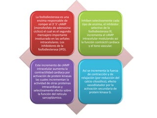 La fosfodiesterasa es una
enzima responsable de
romper el 3’ 5’ cAMP
(monofosfato de adenosina
ciclico) el cual es el segundo
mensajero importante
involucrado en las señales
intracelulares. Los
inhibidores de la
fosfodiesterasa (IPD).
Inhiben selectivamente cada
tipo de enzima, el inhibidor
selectivo de la
fosfodiesterasa lll,
incrementa el cAMP
intracelular modulando así
la función contráctil cardiaca
y el tono vascular.
Este incremento de cAMP
intracelular aumenta la
contractilidad cardiaca por
activación de protein kinasas
las cuales incrementan la
actividad de otras proteínas
intracardiacas y
selectivamente efecto sobre
la función del retículo
sarcoplásmico.
Así se incrementa la fuerza
de contracción y de
relajación (por reducción del
calcio citosólico), efecto
vasodilatador por la
activación secundaria de
protein kinasa G.
 