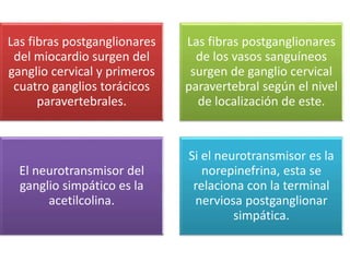 Las fibras postganglionares
del miocardio surgen del
ganglio cervical y primeros
cuatro ganglios torácicos
paravertebrales.
Las fibras postganglionares
de los vasos sanguíneos
surgen de ganglio cervical
paravertebral según el nivel
de localización de este.
El neurotransmisor del
ganglio simpático es la
acetilcolina.
Si el neurotransmisor es la
norepinefrina, esta se
relaciona con la terminal
nerviosa postganglionar
simpática.
 