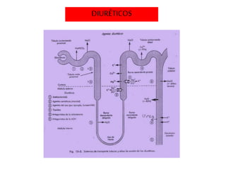 DIURÉTICOS
 