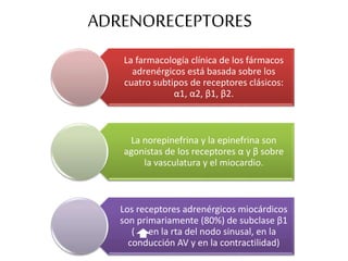 ADRENORECEPTORES
La farmacología clínica de los fármacos
adrenérgicos está basada sobre los
cuatro subtipos de receptores clásicos:
α1, α2, β1, β2.
La norepinefrina y la epinefrina son
agonistas de los receptores α y β sobre
la vasculatura y el miocardio.
Los receptores adrenérgicos miocárdicos
son primariamente (80%) de subclase β1
( en la rta del nodo sinusal, en la
conducción AV y en la contractilidad)
 