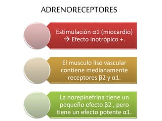 ADRENORECEPTORES
Estimulación α1 (miocardio)
 Efecto inotrópico +.
El musculo liso vascular
contiene medianamente
receptores β2 y α1.
La norepinefrina tiene un
pequeño efecto β2 , pero
tiene un efecto potente α1.
 