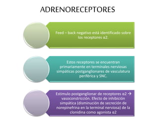 ADRENORECEPTORES
Feed – back negativo está identificado sobre
los receptores α2.
Estos receptores se encuentran
primariamente en terminales nerviosas
simpáticas postganglionares de vasculatura
periférica y SNC.
Estimulo postganglionar de receptores α2 
vasoconstricción. Efecto de inhibición
simpática (disminución de secreción de
norepinefrina en la terminal nerviosa) de la
clonidina como agonista α2
 