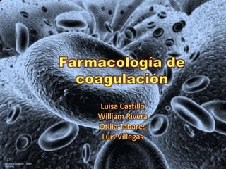 Luisa Castillo 
William Rivera 
Otilia Tabares 
Luis Villegas 
 