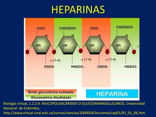 HEPARINAS 
Biología virtual, 1.1.2.4. MUCOPOLISACÁRIDOS O GLUCOSAMINOGLUCANOS, Universidad 
Nacional de Colombia, 
http://www.virtual.unal.edu.co/cursos/ciencias/2000024/lecciones/cap01/01_01_06.htm 
 