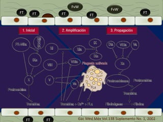 FvW 
FT FT FT FT 
IVFT 
FvW 
FT 
FT FT Gac Méd Méx Vol.138 Suplemento No. 1, 2002 
 