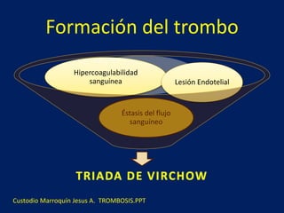 Formación del trombo 
Hipercoagulabilidad 
sanguínea Lesión Endotelial 
Éstasis del flujo 
sanguíneo 
TRIADA DE VIRCHOW 
Custodio Marroquín Jesus A. TROMBOSIS.PPT 
 
