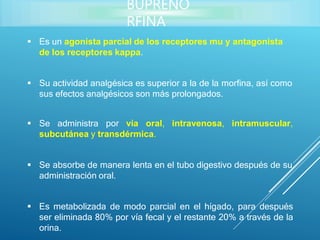  Es un agonista parcial de los receptores mu y antagonista
de los receptores kappa.
 Su actividad analgésica es superior a la de la morfina, así como
sus efectos analgésicos son más prolongados.
 Se administra por vía oral, intravenosa, intramuscular,
subcutánea y transdérmica.
 Se absorbe de manera lenta en el tubo digestivo después de su
administración oral.
 Es metabolizada de modo parcial en el hígado, para después
ser eliminada 80% por vía fecal y el restante 20% a través de la
orina.
BUPRENO
RFINA
 