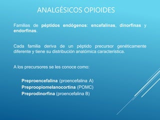 Familias de péptidos endógenos: encefalinas, dinorfinas y
endorfinas.
Cada familia deriva de un péptido precursor genéticamente
diferente y tiene su distribución anatómica característica.
A los precursores se les conoce como:
Preproencefalina (proencefalina A)
Preproopiomelanocortina (POMC)
Preprodinorfina (proencefalina B)
ANALGÉSICOS OPIOIDES
 