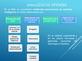 En el SNC se encuentran moléculas precursoras de opioides
endógenos en sitios relacionados con:
Percepción del
dolor
Láminas I y II
de la médula
espinal
Núcleo
espinal del
trigémino
Núcleo gris
periacueductal
Modulación de
la conducta
afectiva
Amígdala
Hipocampo
Locus
coeruleus
Corteza
cerebral
Modulación del
control motor
Regulación del
SNA y de las
funciones
neuroendocrinas
En la médula suprarrenal y
en los plexos nerviosos y
glándulas exocrinas del
estómago e intestino.
ANALGÉSICOS OPIOIDES
 