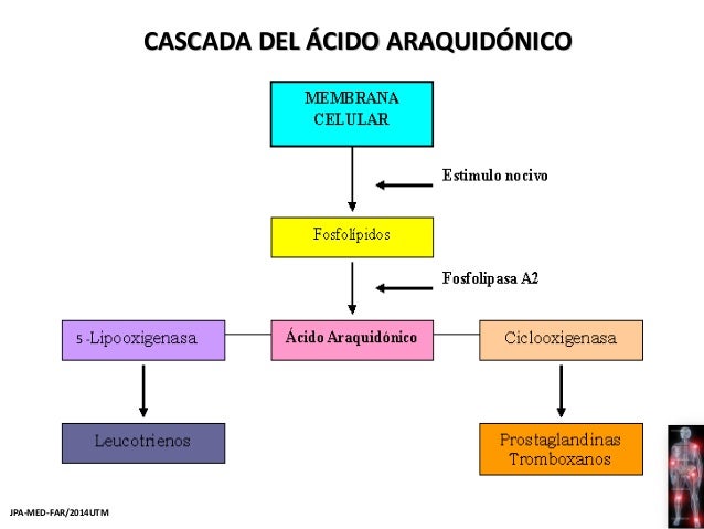 Farmacología del dolor y la inflamación Farmacología del dolor y la inflamación