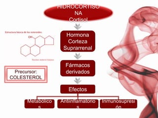 HIDROCORTISONACortisolHormonaCorteza SuprarrenalFármacos derivadosPrecursor:COLESTEROLEfectosMetabólicosAntiinflamatoriosInmunosupresión