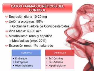 DATOS FARMACOCINÉTICOS DEL CORTISOLSecreción diaria 10-20 mgUnión a proteínas: 90%Globulina Fijadora de CorticoesteroidesVida Media: 60-90 minMetabolismo: renal y hepáticoMetabolitos (excr. 20%)Excreción renal: 1% inalterado