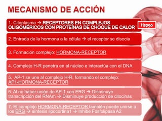 Activación celular