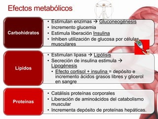 FARMACODINAMIA