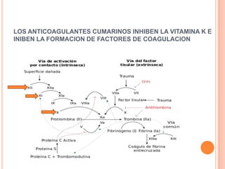 LOS ANTICOAGULANTES CUMARINOS INHIBEN LA VITAMINA K E
INIBEN LA FORMACION DE FACTORES DE COAGULACION
 