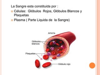 La Sangre esta constituida por :
 Células: Glóbulos Rojos, Glóbulos Blancos y
Plaquetas
 Plasma ( Parte Liquida de la Sangre)
 