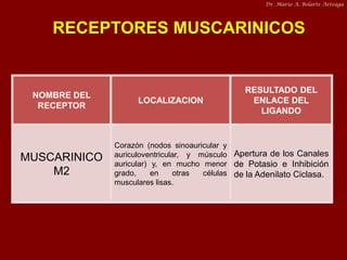 Dr. Mario A. Bolarte Arteaga

RECEPTORES MUSCARINICOS

NOMBRE DEL
RECEPTOR

MUSCARINICO
M2

LOCALIZACION

RESULTADO DEL
EN...