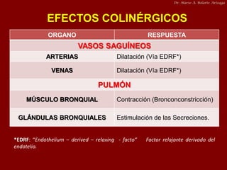 Dr. Mario A. Bolarte Arteaga

EFECTOS COLINÉRGICOS
ORGANO

RESPUESTA

VASOS SAGUÍNEOS
ARTERIAS

Dilatación (Vía EDRF*)

VE...