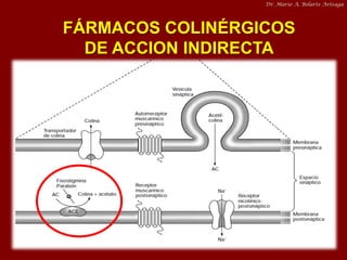 Dr. Mario A. Bolarte Arteaga

FÁRMACOS COLINÉRGICOS
DE ACCION INDIRECTA

 
