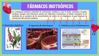 Inotropos Farmacología del Sitema Cardiovascular.pdf