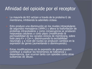 ⦿ La mayoría de RO actúan a través de la proteína G de
membrana, inhibiendo la adenilato ciclasa.
⦿ Esto produce una disminución en los niveles intracelulares
de segundos mensajeros (AMPc) y altera la fosforilación de
proteinas intracelulares y como consecuencia se producen
respuestas celulares a corto plazo (modificando la
permeabilidad de los canales iónicos de membrana, sobre
todo para K+ y Ca++, disminuyendo la excitabilidad
neuronal); y a nivel del núcleo se producen cambios en la
expresión de genes (aumentando o disminuyendo).
⦿ Estas modificaciones en la expresión de genes pueden
contribuir a explicar los fenómenos de tolerancia y
dependencia, que ocurren tanto con opioides como otras
sustancias de abuso.
Afinidad del opioide por el receptor
 