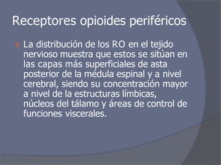 Receptores opioides periféricos
⦿ La distribución de los RO en el tejido
nervioso muestra que estos se sitúan en
las capas más superficiales de asta
posterior de la médula espinal y a nivel
cerebral, siendo su concentración mayor
a nivel de la estructuras límbicas,
núcleos del tálamo y áreas de control de
funciones viscerales.
 