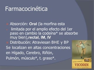 Farmacocinética
⦿ Absorción: Oral (la morfina esta
⦿ limitada por el amplio efecto del 1er
paso en cambio la codeína* se absorbe
muy bien),rectal, IM, IV
⦿ Distribución: Atraviesan BHE y BP
Se localizan en altas concentraciones
en Hígado, Cerebro, Riñón,
Pulmón, músculo*, t. graso*.
 