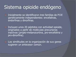 Sistema opioide endógeno
⦿ Inicialmente se identificaron tres familias de POE
genéticamente independientes: encefalinas,
endorfinas y dinorfinas.
⦿ Incluyen unos 20 péptidos con actividad opioide,
originados a partir de moléculas precursoras
inactivas (propio-melanocortina, pro-encefalina y
pro-dinorfina).
⦿ Las similitudes en la organización de sus genes
sugieren un antecesor común.
 