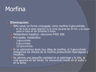 Morfina
⦿ Eliminación:
⚫ 90% renal; en forma conjugada; como morfina-3-glucurónido.
○ El 90 % de la dosis aparece en la orina durante las 24 hrs. y la mayor
parte lo hace en las primeras 6 horas.
⚫ Metabolismo hepático: citocromo P450 2D6
⚫ Principales metabolitos
○ 3-glucurónido
○ 6-glucurónido
○ 3,6-glucurónido.
⚫ Si se administran dosis muy altas de morfina, el 3-glucurónido
antagoniza los efectos de la morfina produciendo hiperalgesia y
mioclono.
⚫ Se elimina una pequeña cantidad en el estómago y la bilis, la
cual aparece en las heces. Se encuentran trazas en el sudor y
en la leche.
 