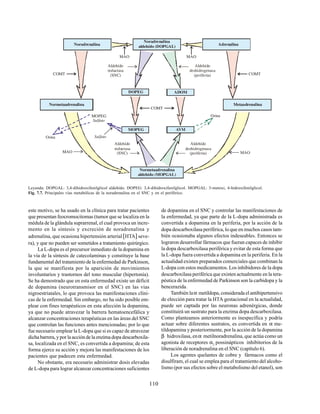 110
este motivo, se ha usado en la clínica para tratar pacientes
que presentan feocromocitomas (tumor que se localiza en la
médula de la glándula suprarrenal, el cual provoca un incre-
mento en la síntesis y excreción de noradrenalina y
adrenalina, que ocasiona hipertensión arterial[HTA] seve-
ra), y que no pueden ser sometidos a tratamiento quirúrgico.
La L-dopa es el precursor inmediato de la dopamina en
la vía de la síntesis de catecolaminas y constituye la base
fundamental del tratamiento de la enfermedad de Parkinson,
la que se manifiesta por la aparición de movimientos
involuntarios y trastornos del tono muscular (hipertonía).
Se ha demostrado que en esta enfermedad existe un déficit
de dopamina (neurotransmisor en el SNC) en las vías
nigroestriatales, lo que provoca las manifestaciones clíni-
cas de la enfermedad. Sin embargo, no ha sido posible em-
plear con fines terapéuticos en esta afección la dopamina,
ya que no puede atravezar la barrera hematoencefálica y
alcanzar concentraciones terapéuticas en las áreas del SNC
que controlan las funciones antes mencionadas; por lo que
fue necesario emplear la L-dopa que si es capaz de atravezar
dicha barrera, y por la acción de la enzima dopa descarboxila-
sa, localizada en el SNC, es convertida a dopamina; de esta
forma ejerce su acción y mejora las manifestaciones de los
pacientes que padecen esta enfermedad.
No obstante, era necesario administrar dosis elevadas
de L-dopa para lograr alcanzar concentraciones suficientes
Leyenda: DOPGAL: 3,4-dihidroxifenilglicol aldehído. DOPEG: 3,4-dihidroxifenilglicol. MOPGAL: 3-metoxi, 4-hidroxifenilglicol.
Fig. 7.7. Principales vías metabólicas de la noradrenalina en el SNC y en el periférico.
de dopamina en el SNC y controlar las manifestaciones de
la enfermedad, ya que parte de la L-dopa administrada es
convertida a dopamina en la periferia, por la acción de la
dopa descarboxilasa periférica, lo que en muchos casos tam-
bién ocasionaba algunos efectos indeseables. Entonces se
lograron desarrollar fármacos que fueran capaces de inhibir
la dopa descarboxilasa periférica y evitar de esta forma que
la L-dopa fuera convertida a dopamina en la periferia. En la
actualidad existen preparados comerciales que combinan la
L-dopa con estos medicamentos. Los inhibidores de la dopa
descarboxilasa periférica que existen actualmente en la tera-
péutica de la enfermedad de Parkinson son la carbidopa y la
bencerazida.
También laα metildopa, considerada el antihipertensivo
de elección para tratar la HTA gestacional en la actualidad,
puede ser captada por las neuronas adrenérgicas, donde
constituirá un sustrato para la enzima dopa descarboxilasa.
Como planteamos anteriormente es inespecífica y podría
actuar sobre diferentes sustratos, es convertida en α me-
tildopamina y posteriormente, por la acción de la dopamina
β hidroxilasa, enα metilnoradrenalina, que actúa como un
agonista de receptores α2
possinápticos inhibitorios de la
liberación de noradrenalina en el SNC (capítulo 6).
Los agentes quelantes de cobre y fármacos como el
disulfiram, el cual se emplea para el tratamiento del alcoho-
lismo (por sus efectos sobre el metabolismo del etanol), son
MAO
Aldehído
reductasa
(SNC)
Aldehído
deshidrogenasa
(periferia)
MAO
ADOM
COMT
OrinaMOPEG
Sulfato
Orina Sulfato
Aldehído
reductasa
(SNC)
Aldehído
deshidrogenasa
(periferia)
Noradrenalina
aldehído (DOPGAL)
Noradrenalina Adrenalina
Normetaadrenalina Metaadrenalina
DOPEG
Normetaadrenalina
aldehído (MOPGAL)
MOPEG AVM
COMT COMT
MAOMAO
 