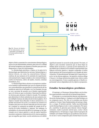 10
objetivo final es aumentar los conocimientos farmacológicos
acerca de una determinada sustancia para elevar la calidad
del arsenal terapéutico que dispone el hombre para prevenir,
diagnosticar y tratar las enfermedades.
La farmacología preclínica o básica es la parte de la
farmacología que determina las acciones farmacológicas y
efectos tóxicos, así como las características farmaco-
cinéticas de una sustancia en los animales de experimenta-
ción (animal total u órgano aislado) u otro sistema biológico
(cultivo de bacterias, cultivo de tejidos, insectos, sistemas
enzimáticos, etc.).
La farmacología básica alcanza sus propósitos median-
te los modelos experimentales que son un conjunto de técni-
cas y procedimientos que permiten la caracterización de las
sustancias antes de ser utilizadas en el ser humano, las que
se van a accionar de acuerdo con el diseño experimental,
que es la forma en que se articulan y funcionan las diferen-
tes técnicas para alcanzar el objetivo trazado. Por ejemplo,
para determinar el efecto antiulceroso de una sustancia exis-
ten múltiples técnicas de inducción de la úlcera péptica. Si el
objetivo trazado fuera dilucidar el efecto antiulceroso y su
posible mecanismo de acción, se evaluaría esa sustancia en
modelos para provocar úlceras inducidas por diversos agen-
tes y después se sometería un modelo de estudio de la se-
creción de ácido clorhídrico y pepsina. Sin embargo, la
aclorhidria o la elevación del pH en el estómago se ha rela-
cionado con el cáncer gástrico y sería de mayor beneficio
encontrar sustancias citoprotectoras de la mucosa gástrica,
que son aquellas que tienen acción antiulcerosa sin inhibir
A probaci n po r
unida d regulado ra
E stud ios
pre cl nicos
E nsayo cl nico
Fases I, II y III
Fase IV
E nsayo cl nic o
E stu dios de utilizac i n de m edicam entos
Farm acovig ilan cia
.
.
.Fig. 2.1. Proceso de desarro-
llo de medicamentos nuevos
y principales actividades de
la farmacoepidemiología en
la fase IV.
significativamente la secreción ácida parietal. Por tanto, el
objetivo sería encontrar sustancias que en dosis bajas no
inhiban dicha secreción y sí posean acción antiulcerosa, lo
que habría que evaluarlo en los modelos experimentales que
inducen secreción gástrica y después comprobar si tienen
efecto protector de la mucosa gástrica en el modelo de inmo-
vilización. El descubrimiento del papel del Campylobacter
pylori en las úlceras pépticas y las gastritis crónicas obliga
a buscar si la droga antiulcerosa puede tener efecto contra
ese microorganismo. Como se puede apreciar, el diseño ex-
perimental varía en dependencia de los objetivos propuestos.
Estudios farmacológicos preclínicos
El tamizaje y el bioensayo farmacológico son los dise-
ños experimentales esenciales de la farmacología básica.
El tamizaje (screening) permite detectar una determina-
da acción farmacológica o cualquier actividad biológica en
un compuesto nuevo. Por ello se le considera una técnica
cualitativa. Existen 2 tipos fundamentales de tamizaje: dirigi-
do y a ciegas. El primero permite hallar una determinada
acción farmacológica en uno o varios compuestos. Por ejem-
plo, cuantificar la glicemia para detectar efectos hipogli-
cemiantes, medir la presión arterial para evaluar efecto
antihipertensivo. El tamizaje a ciegas realiza la pesquisa de
múltiples actividades biológicas que pudieran estar presen-
tes en uno o varios compuestos para orientar hacia la acción
 