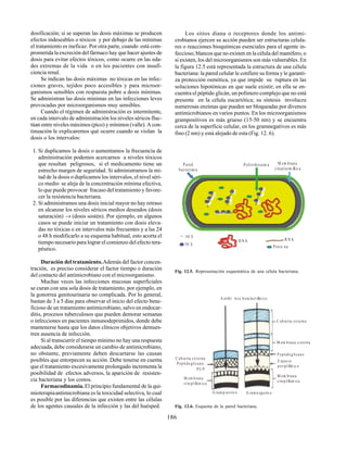 186
dosificación; si se superan las dosis máximas se producen
efectos indeseables o tóxicos y por debajo de las mínimas
el tratamiento es ineficaz. Por otra parte, cuando está com-
prometida la excreción del fármaco hay que hacer ajustes de
dosis para evitar efectos tóxicos, como ocurre en las eda-
des extremas de la vida o en los pacientes con insufi-
ciencia renal.
Se indican las dosis máximas no tóxicas en las infec-
ciones graves, tejidos poco accesibles y para microor-
ganismos sensibles con respuesta pobre a dosis mínimas.
Se administran las dosis mínimas en las infecciones leves
provocadas por microorganismos muy sensibles.
Cuando el régimen de administración es intermitente,
en cada intervalo de administración los niveles séricos fluc-
túan entre niveles máximos (pico) y mínimos (valle). A con-
tinuación le explicaremos qué ocurre cuando se violan la
dosis o los intervalos:
1. Si duplicamos la dosis o aumentamos la frecuencia de
administración podemos acercarnos a niveles tóxicos
que resultan peligrosos, si el medicamento tiene un
estrecho margen de seguridad. Si administramos la mi-
tad de la dosis o duplicamos los intervalos, el nivel séri-
co medio se aleja de la concentración mínima efectiva,
lo que puede provocar fracaso del tratamiento y favore-
cer la resistencia bacteriana.
2. Si administramos una dosis inicial mayor no hay retraso
en alcanzar los niveles séricos medios deseados (dosis
saturación) → (dosis sostén). Por ejemplo, en algunos
casos se puede iniciar un tratamiento con dosis eleva-
das no tóxicas o en intervalos más frecuentes y a las 24
o 48 h modificarlo a su esquema habitual, esto acorta el
tiempo necesario para lograr el comienzo del efecto tera-
péutico.
Duración del tratamiento.Además del factor concen-
tración, es preciso considerar el factor tiempo o duración
del contacto del antimicrobiano con el microorganismo.
Muchas veces las infecciones mucosas superficiales
se curan con una sola dosis de tratamiento, por ejemplo, en
la gonorrea genitourinaria no complicada. Por lo general,
bastan de 3 a 5 días para observar el inicio del efecto bene-
ficioso de un tratamiento antimicrobiano, salvo en endocar-
ditis, procesos tuberculosos que pueden demorar semanas
o infecciones en pacientes inmunodeprimidos, donde debe
mantenerse hasta que los datos clínicos objetivos demues-
tren ausencia de infección.
Si al transcurrir el tiempo mínimo no hay una respuesta
adecuada, debe considerarse un cambio de antimicrobiano,
no obstante, previamente deben descartarse las causas
posibles que entorpecen su acción. Debe tenerse en cuenta
que el tratamiento excesivamente prolongado incrementa la
posibilidad de efectos adversos, la aparición de resisten-
cia bacteriana y los costos.
Farmacodinamia.El principio fundamental de la qui-
mioterapiaantimicrobiana es la toxicidad selectiva, lo cual
es posible por las diferencias que existen entre las células
de los agentes causales de la infección y las del huésped.
Fig. 12.5. Representación esquemática de una célula bacteriana.
Fig. 12.6. Esquema de la pared bacteriana.
Los sitios diana o receptores donde los antimi-
crobianos ejercen su acción pueden ser estructuras celula-
res o reacciones bioquímicas esenciales para el agente in-
feccioso, blancos que no existen en la célula del mamífero, o
si existen, los del microorganismos son más vulnerables. En
la figura 12.5 está representada la estructura de una célula
bacteriana: la pared celular le confiere su forma y le garanti-
za protección osmótica, ya que impide su ruptura en las
soluciones hipotónicas en que suele existir; en ella se en-
cuentra el péptido glicán, un polímero complejo que no está
presente en la célula eucariótica; su síntesis involucra
numerosas enzimas que pueden ser bloqueadas por diversos
antimicrobianos en varios puntos. En los microorganismos
grampositivos es más grueso (15-50 nm) y se encuentra
cerca de la superficie celular, en los gramnegativos es más
fino (2 nm) y está alejado de esta (Fig. 12. 6).
Pared
bacterian a
Polirribosom a M em brana
citoplasm Ætic a
30 S
50 S
D NA R NA
Prote na
A ntibi tico beta lactÆm ico
C ubierta externa
M em brana e xterna
P eptidoglicano
E spacio
periplÆm ic o
M em brana
citoplÆsm ica
G ram n ega tivoG ram p ositivo
C ubierta externa
P eptidoglicano
P U P
M em brana
citoplÆsm ica
 
